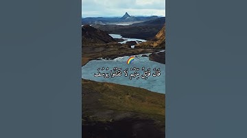 القران الكريم ( سورة يوسف ) 🤍 بصوت الشيخ ماهر المعيقلي 🌻
