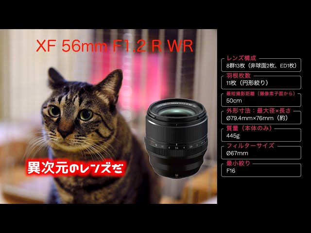 富士フイルム #XF56mmF1.2 R WR レビュー 4k作例】入手困難な大人気 ...