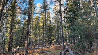 Aspen Meadow Flagstaff Az