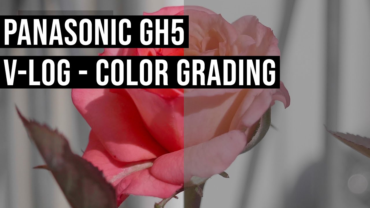 PANASONIC GH5 VLOG LUT COLOR GRADING TEST 8bit 50p LUT Free Download