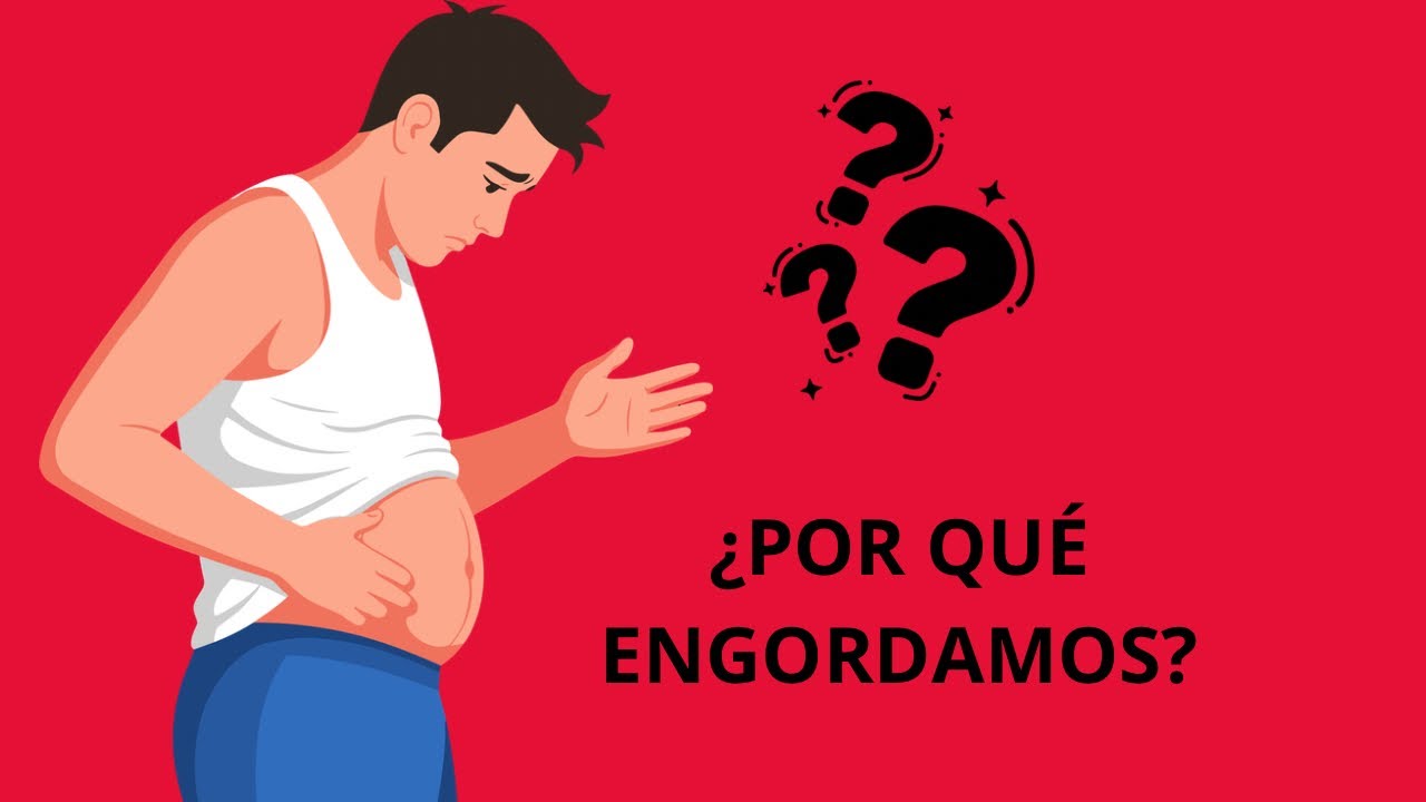 ¿Por qué subimos de peso? La biología del sobrepeso explicada fácil