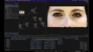 Autodesk Flame中文教学之六十