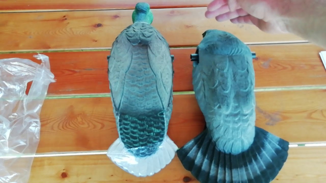 Новинка! Чучело голубя-вяхиря LUCKY DUCK