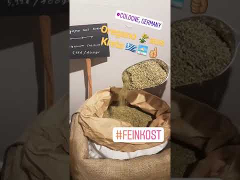 Video: Oregano Kreta