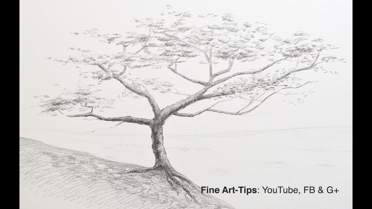 ⁣How to Draw a Tree With Pencil