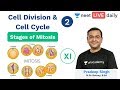 NEET: Cell Division and Cell Cycle - L2 | Stages of Mitosis | Biology | Unacademy NEET | Pradeep Sir