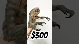 5 Vs 300 Distortus Rex