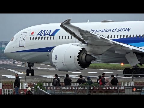 25架次飛機起降 近距離特寫｜臺北松山機場 Plane Spotting TSA/RCSS