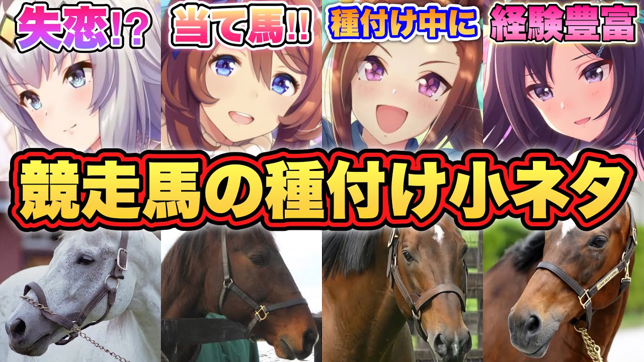 【ウマ娘】種付けを知ると100万倍面白くなる!【経験人数がヤバい】