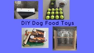 DIY Dog Food Toys  Boredom Busters  Environmental Enrichment  Dog Training