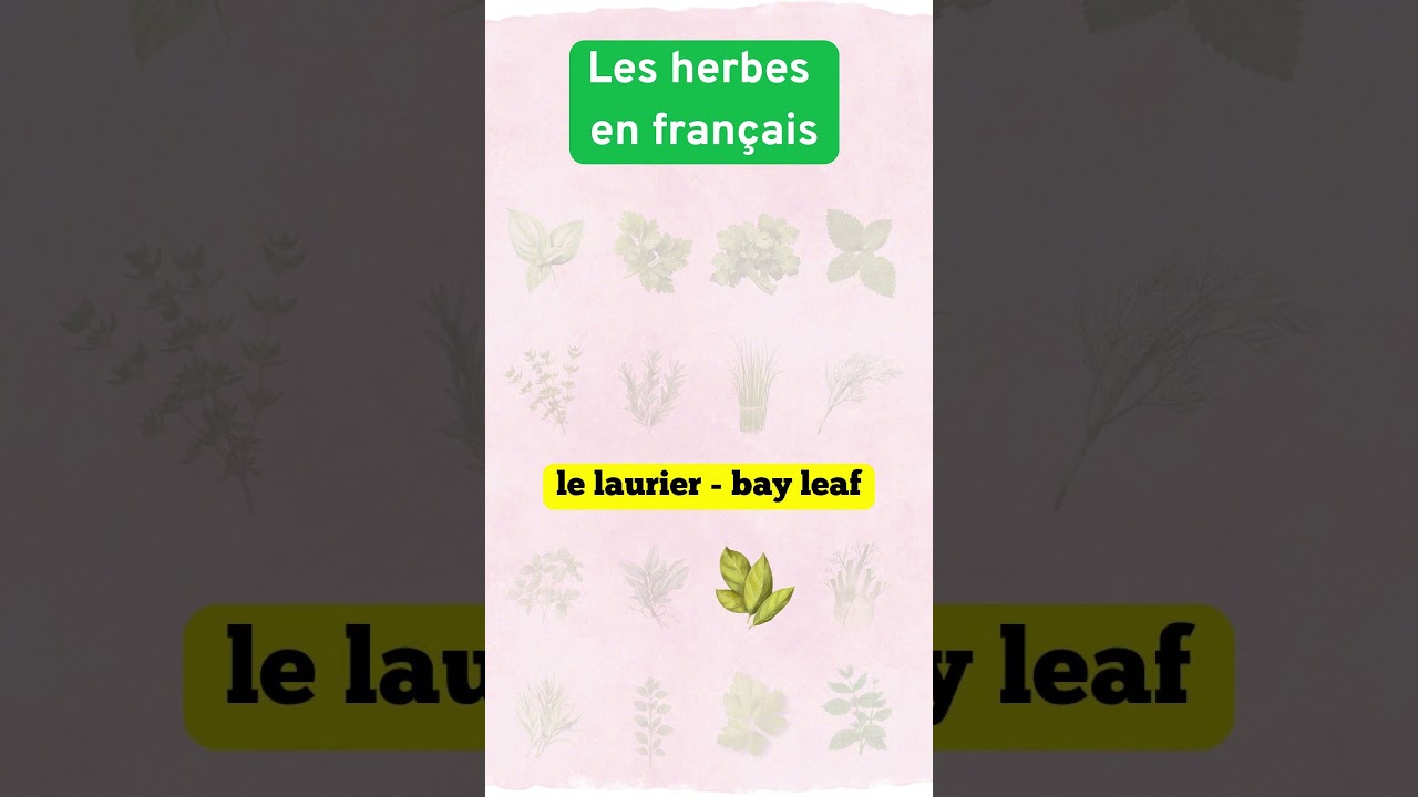 Learn French Vocabulary: Common Herbs in French 🌿 | French for Beginners | Shorts 