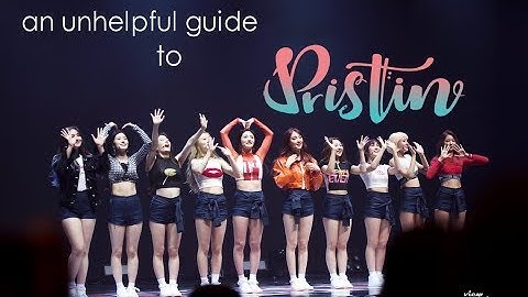 an unhelpful guide to pristin