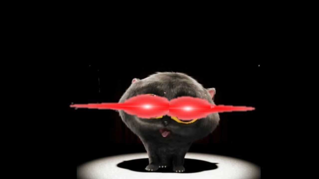 Черный кот поет - YouTube