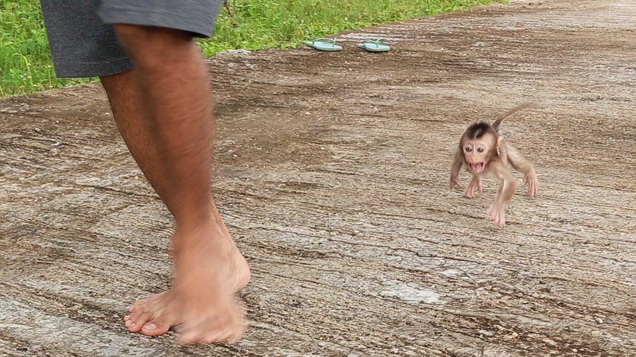 О нет!!! Синди меня преследует