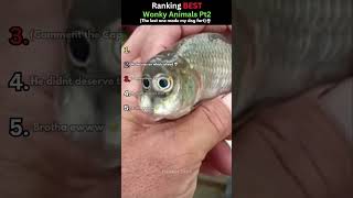 Dont check the sound ๐ญโ๏ธ