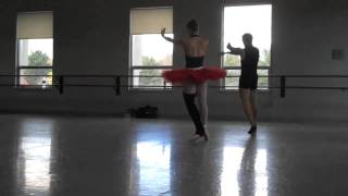 American Repertory Ballet's Nutcracker