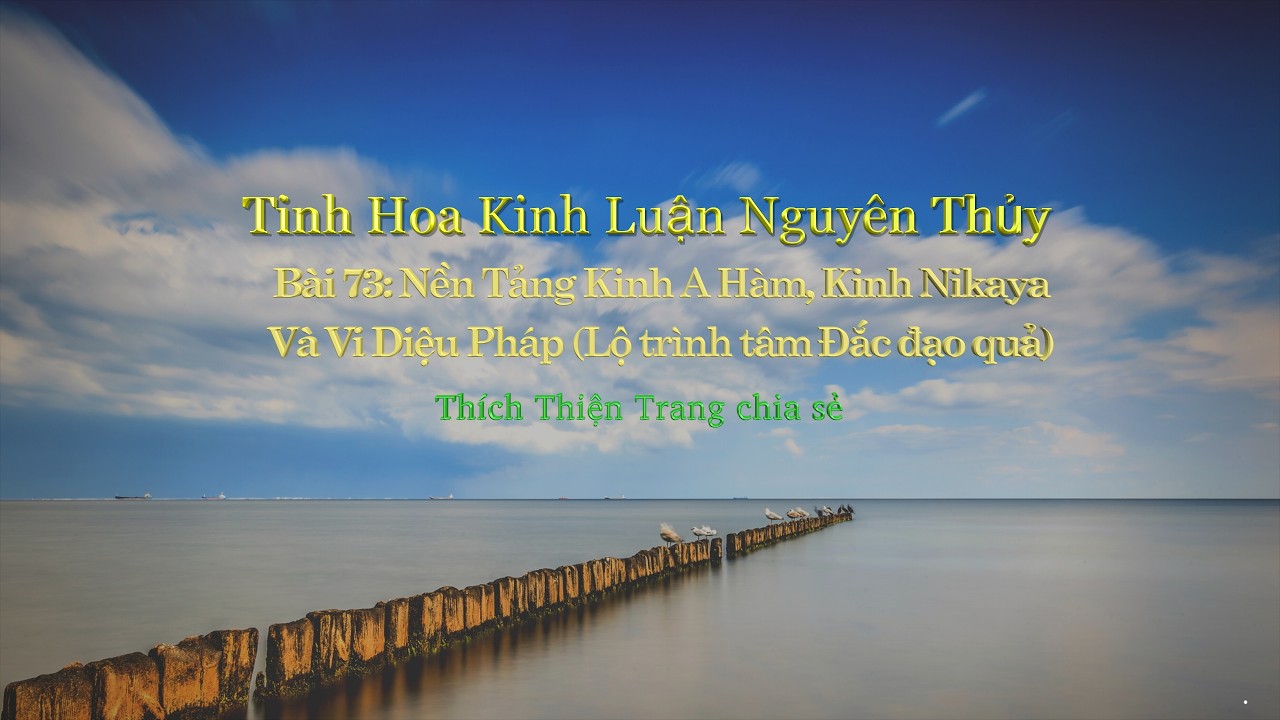 073- Tinh Hoa Kinh Luận Nguyên Thủy || Thích Thiện Trang