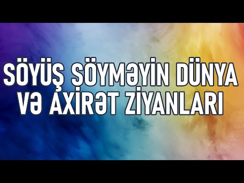 Video: Hollandiyalıların Çin imperatoruna və ya onun nümayəndələrinə söyüş söyməsi nə demək idi?