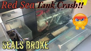Red Sea Tank Broken!!! 😡 by Aquarium Service Tech 3,116 views 3 months ago 10 minutes, 8 seconds