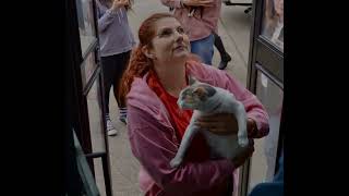 Cedar City animal shelters under pressure after influx of surrendered pets
