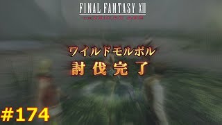 【FF12TZA】ファイナルファンタジー12 ザ ゾディアック エイジ 徹底攻略 #174