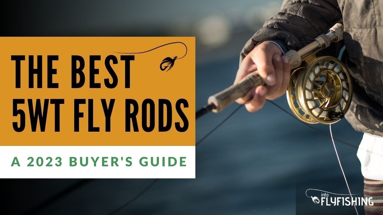 Best 5 Weight Fly Rods (Fished & Compared) 