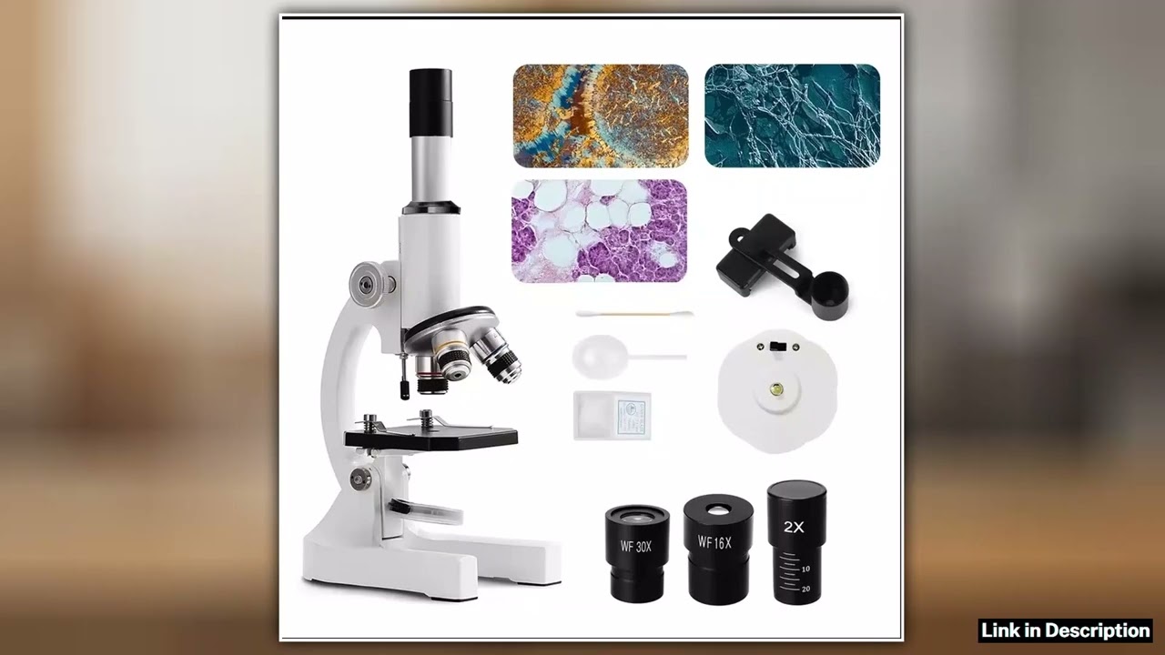 Microscope for Adults Kids 64X2400X Magnification Compound Microscope with Microscope Slides Fill L