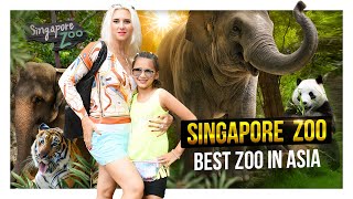 Best things to do in Singapore: Singapore Zoo