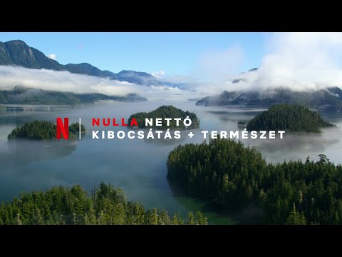 Netflix + Fenntarthatóság - Nettó nulla 2022 végére