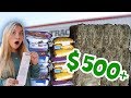 Buying Food For ALL MY PETS IN ONE VIDEO! $500+