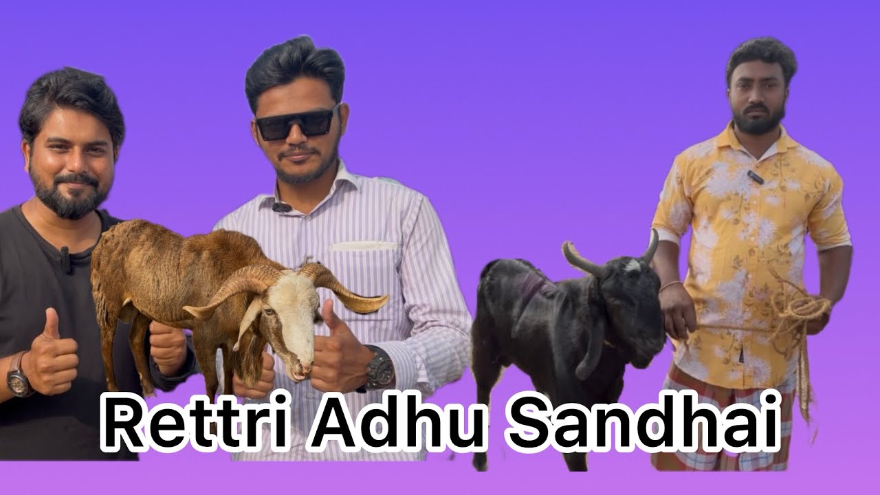Retteri Adhu Sandhai | Lastest update | Sheep 🐑 | Goat 🐐 | Low rate sheep and goat @syedmuzammil7013