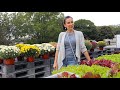 Shopping from Greenville State Farmers Market | Heghineh