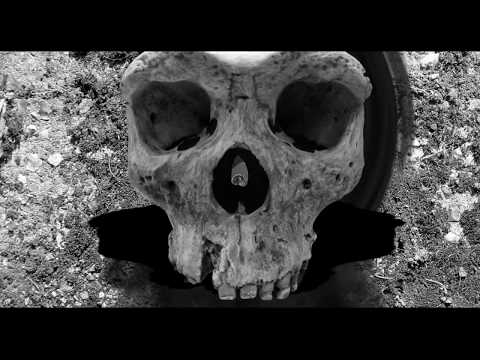 Thrash Gordon // Nothing [Official Video]
