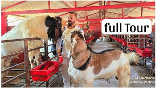 MD Goat Farm Ramadan Series 2024 - Full Farm Tour