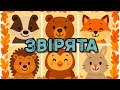ЗВІРЯТА дитячі українські пісні про наших друзів