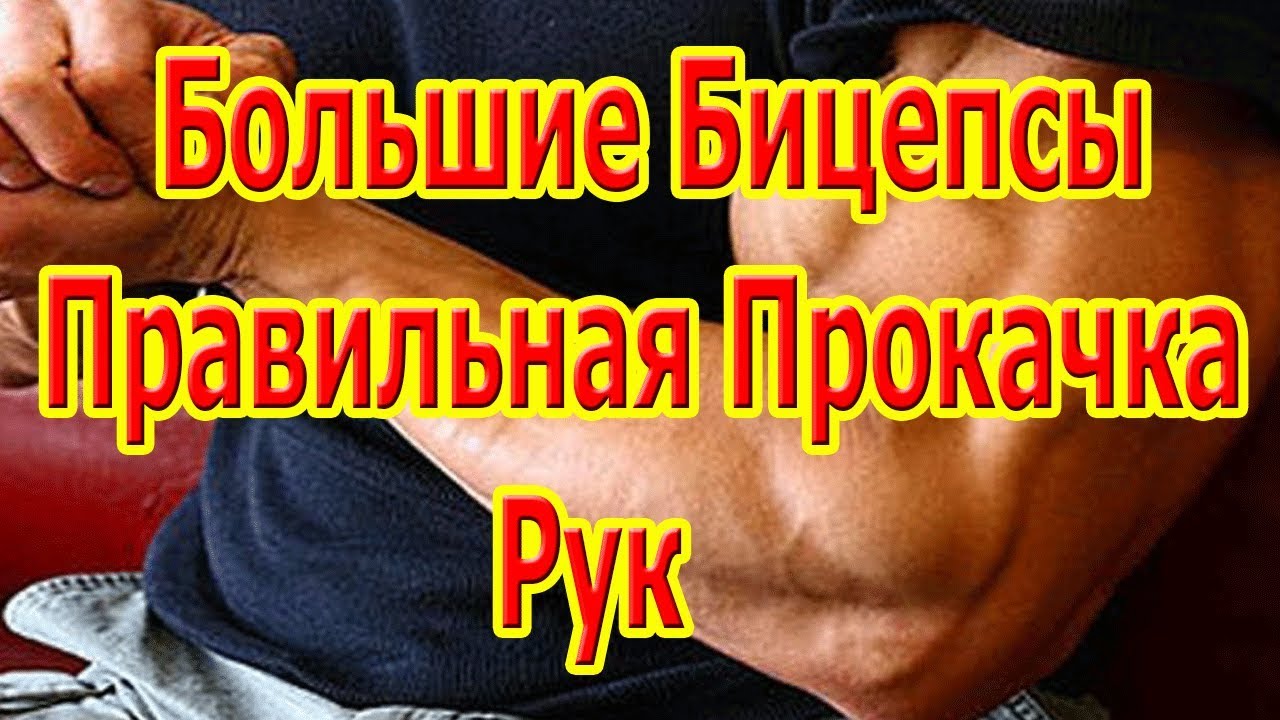 Большие Бицепсы/Правильная Прокачка Рук - YouTube