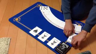 トランプレビュー 〜バイスクルガーディアン〜