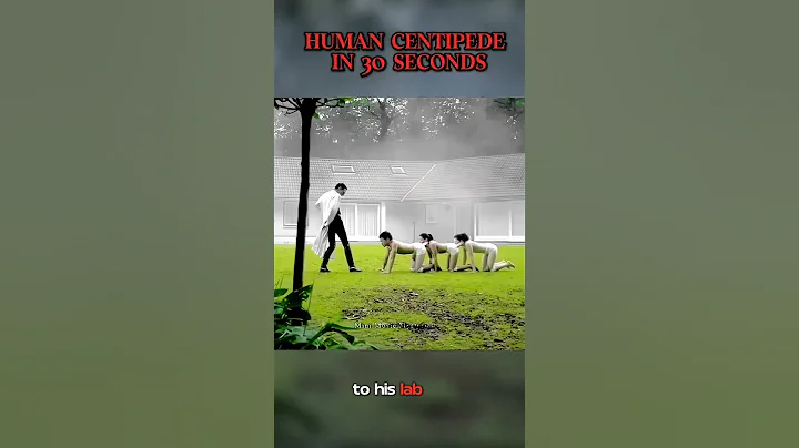 Human Centipede is a 2009 Dutch independent film directed and co-produced by Mini Movie Mysteries .