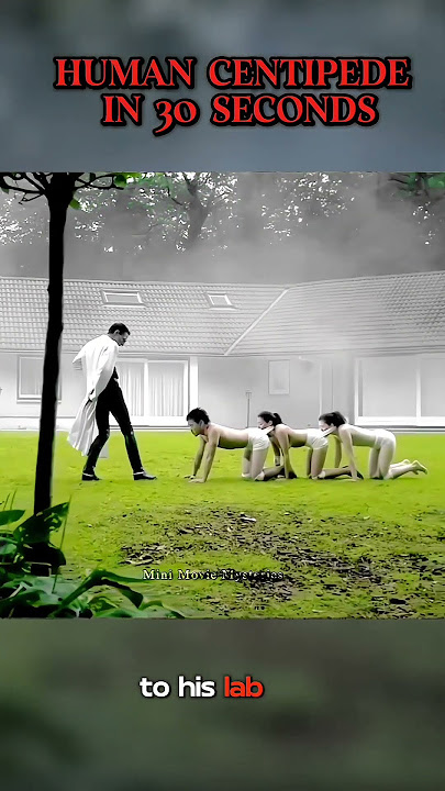 Human Centipede is a 2009 Dutch independent film directed and co-produced by Mini Movie Mysteries .