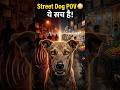 Street Dog POV 😳 Why they bark? | Dog behavior facts Hindi #shortsindia
