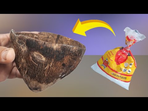 VAI VIRAR FEBRE - Basta Colocar GESSO no COCO SECO e veja que RESULTADO INCRIVEL