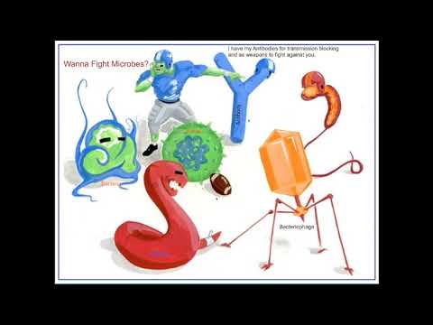 Arthropod exosomes as