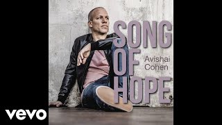Video thumbnail of "Avishai Cohen - Song of Hope (Audio)"