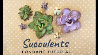 How to make 5 different fondant SUCCULENTS