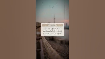 #قران_كريم #القارئ_رعد_الكردي #سورة_التوبة