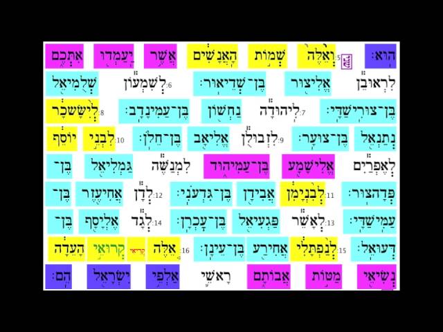 Bmidbar 12
