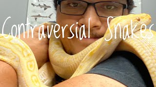 Why Do People Hate Snakes?