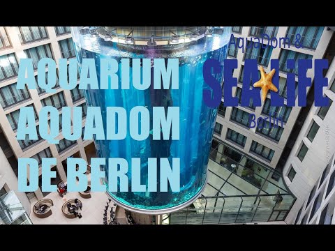 SEALIFE BERLIN & AQUADOM - Most beautiful aquariums in the world