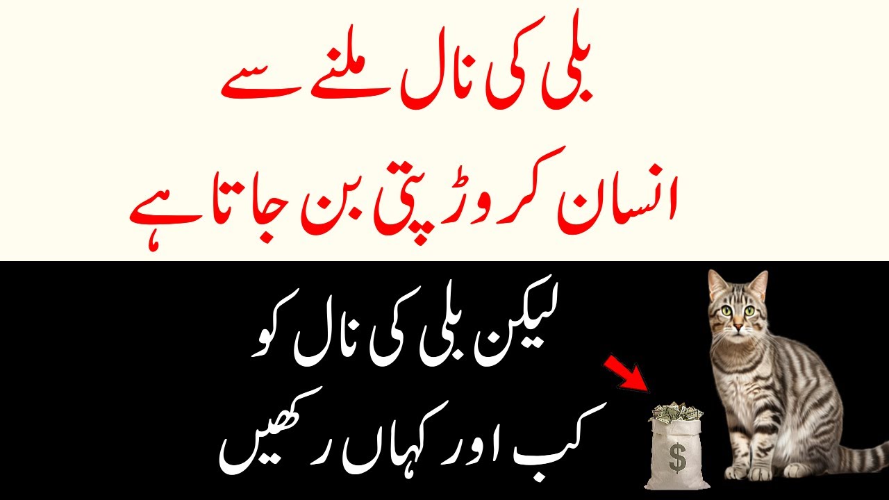 Billi ki Naal Milne Par insan Ameer Ho jata Hai Par Billi ki Naal Kab aur Kaha Rakhe