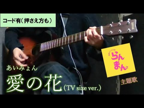 【covered by Haggy(男性)】あいみょん / 愛の花(-4)【ギター 弾き語り】※コード有(押さえ方も)　※連続テレビ小説「らんまん」主題歌